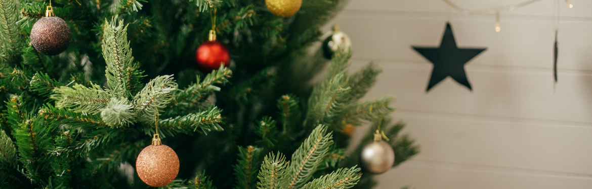 Magnetisch Schema spanning Kerstversiering | Voor welke kerstdecoratie ga jij?