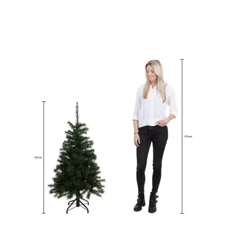 Black Box Kerstboom charlton 120cm groen - afbeelding 4