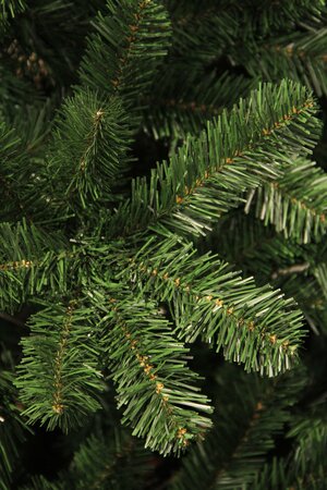 Black Box Kerstboom charlton 230cm groen details