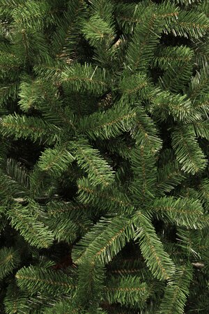 Black Box Kerstboom charlton 230cm groen detail