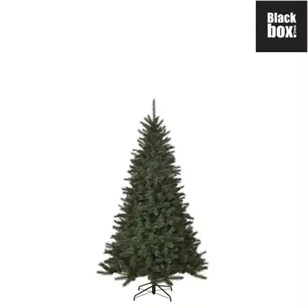 Black Box Kerstboom Toronto 120cm groen - afbeelding 1