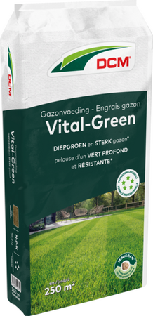 DCM Vital-green gazon 10kg - afbeelding 1