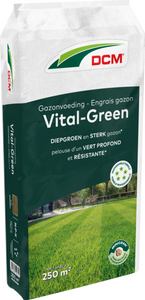 DCM Vital-green gazon 10kg - afbeelding 1