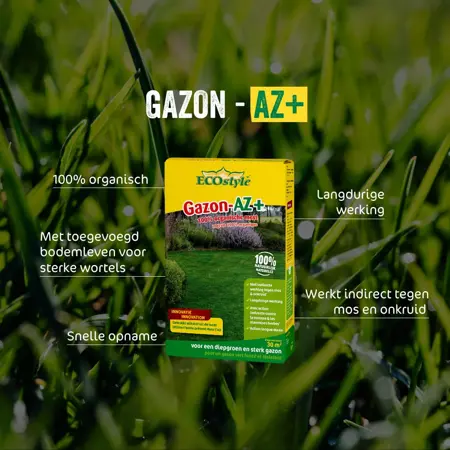 Ecostyle Gazon-az 10kg - afbeelding 2