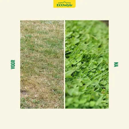 Ecostyle Graszaad met microklaver 1kg - afbeelding 3