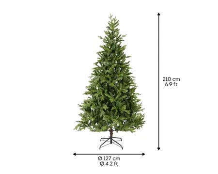 Everlands Allison boom pine 210cm groen - afbeelding 6