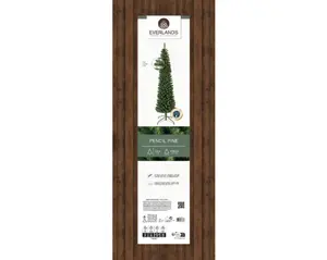 Everlands Pencil pine 180cm groen - afbeelding 4