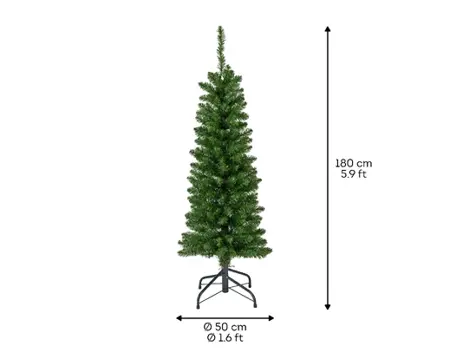 Everlands Pencil pine 180cm groen - afbeelding 6