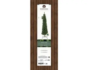 Everlands Pencil pine 240cm groen - afbeelding 4