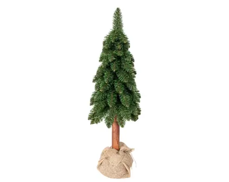 Everlands tora boom 80cm groen