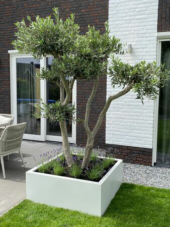 GLM Plantenbak Amsterdam zonder bodem 100x100x40cm sfeer