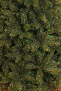 Kerstboom forest frosted 215cm groen - afbeelding 2