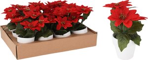 Kerstster 16cm rood