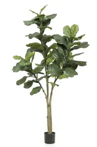 Kunstplant Ficus Lyrata 180cm