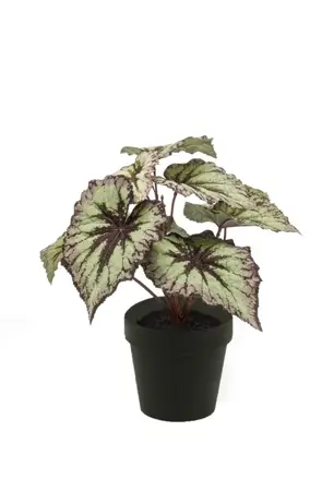 Kunstplant in Pot Begonia Grijs Paars 25cm