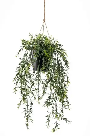 Kunstplant in Pot Hangplant Buxus 50cm