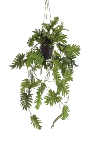 Kunstplant in Pot Hangplant Philodendron 80cm
