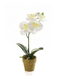 Kunstplant in Pot Mini Orchidee Phalaenopsis Creme 25cm