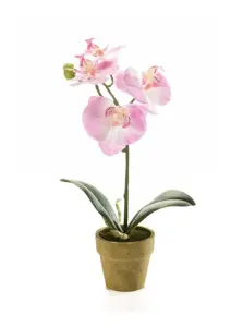 Kunstplant in Pot Mini Orchidee Phalaenopsis Lichtroze 25cm