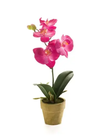 Kunstplant in Pot Mini Orchidee Phalaenopsis Roze 25cm