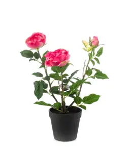 Kunstplant in Pot Roos Roze 40cm