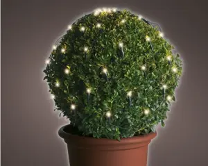 Lumineo Netverlichting 35cm-60LED warm wit met plant