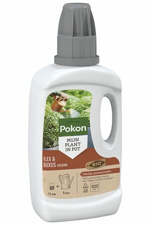 Pokon Bio buxus/ilexvoeding 500ml - afbeelding 1