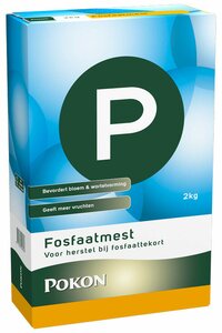 Pokon Fosfaatmeststof 2kg - afbeelding 1