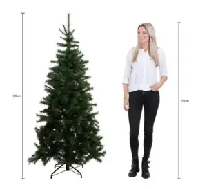 Triumph Tree Kerstboom forest frosted 185cm groen - afbeelding 4