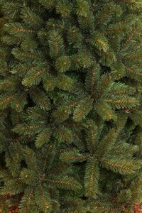 Triumph Tree Kerstboom forest frosted 185cm groen - afbeelding 2