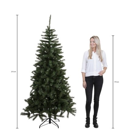 Triumph Tree Kerstboom forest frosted 215cm groen hoogte